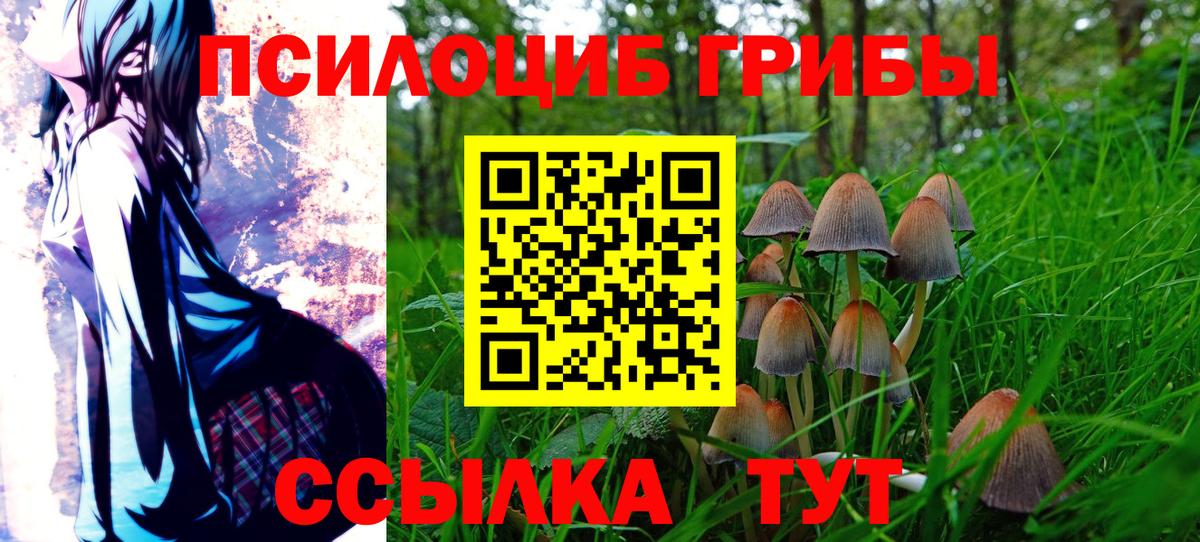 Галлюциногенные грибы GOLDEN TEACHER  Псилоцибиновые грибы ЛСД  Новосибирск  Вход с VPN 
