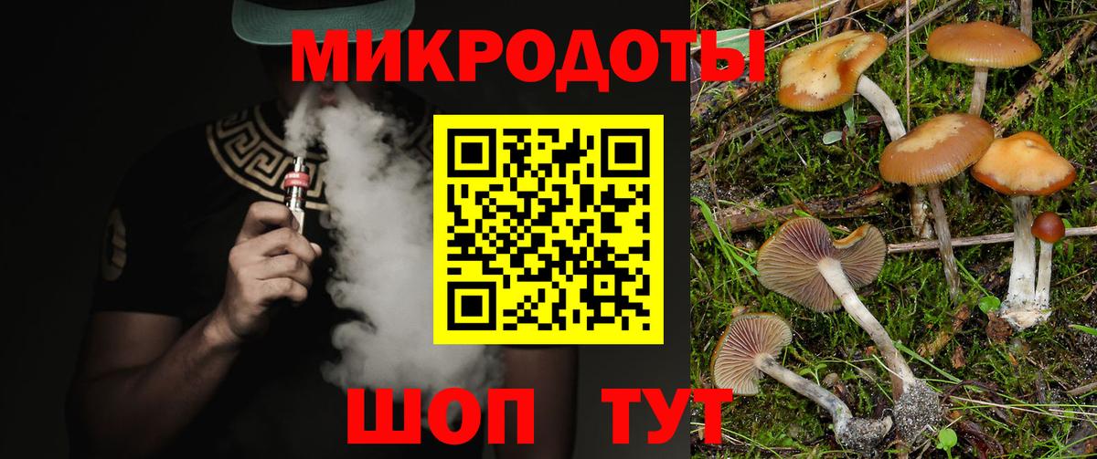 Галлюциногенные грибы Psilocybine cubensis Новосибирск